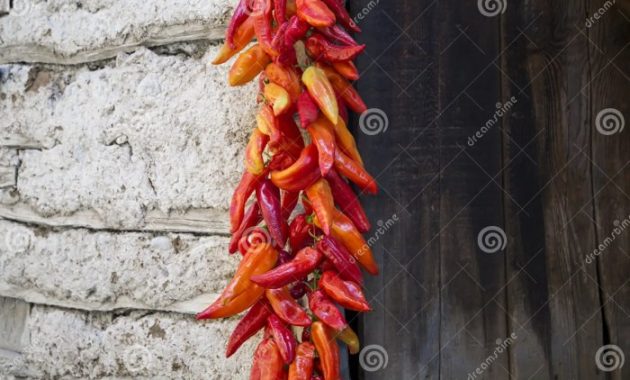 Paprika überwintern im Wohnzimmer Tipps & Tricks